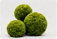 球形绿植素材占位